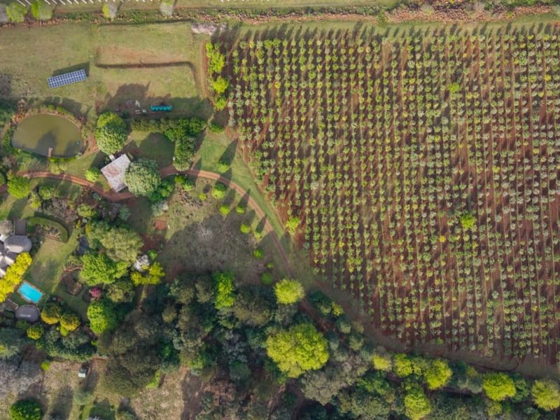 A Rare Midlands Country Estate with an Established Truffle Orchard - Photo 9