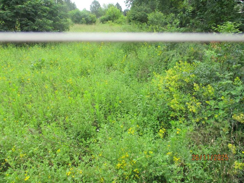 PRIME AREA HENLEY ON KLIP - Photo 8