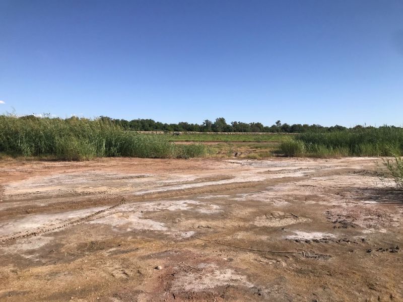 Vacant stand on 'n prime spot in a very popular area. - Photo 6