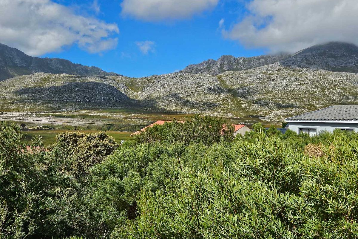 600m2 Vacant Land for Sale in Pringle Bay - Photo 4