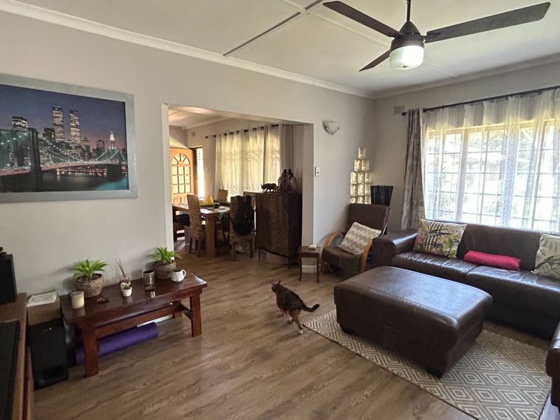 Spacious open-plan living and dining area featuring laminate flooring, a ceiling fan, and large windows that provide ample natural light.