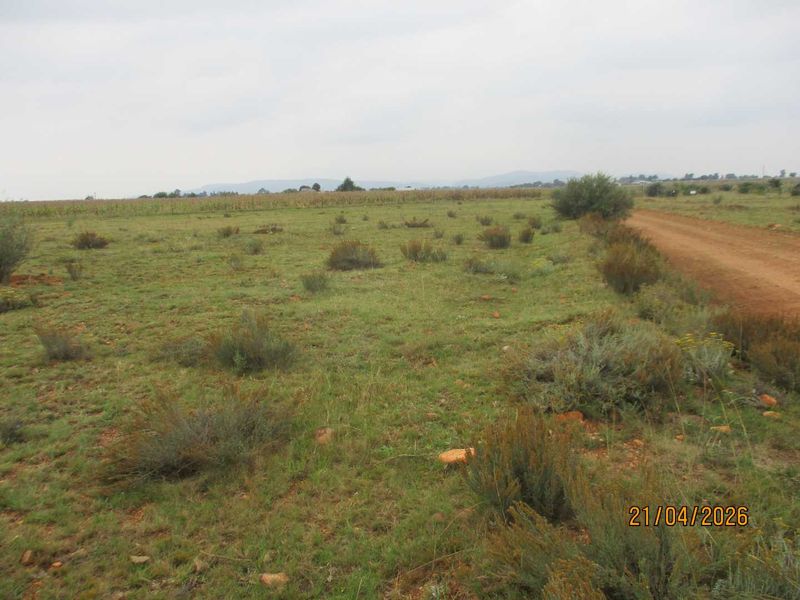 Enjoy the tranquility of Henley - Photo 3