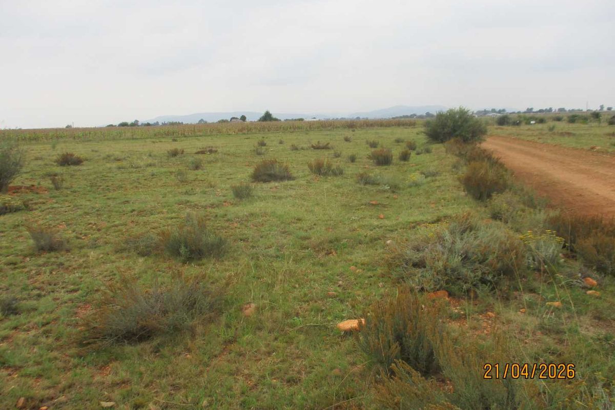 Enjoy the tranquility of Henley - Photo 3