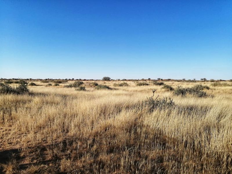 OWN YOUR PIECE OF NAMIBIA - FARM FOR SALE IN NAMIBIA - Photo 9