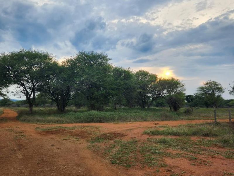 Prime Stand In Pristine Bushveld - Photo 5