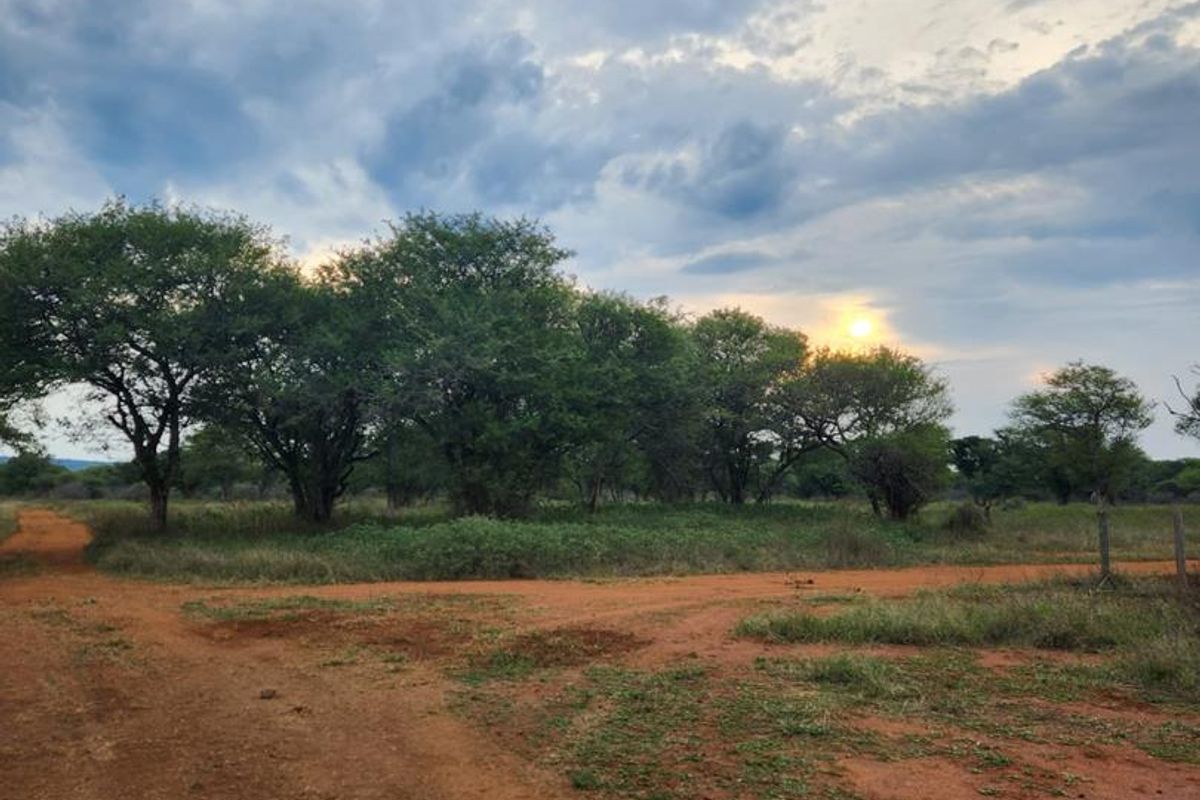 Prime Stand In Pristine Bushveld - Photo 5