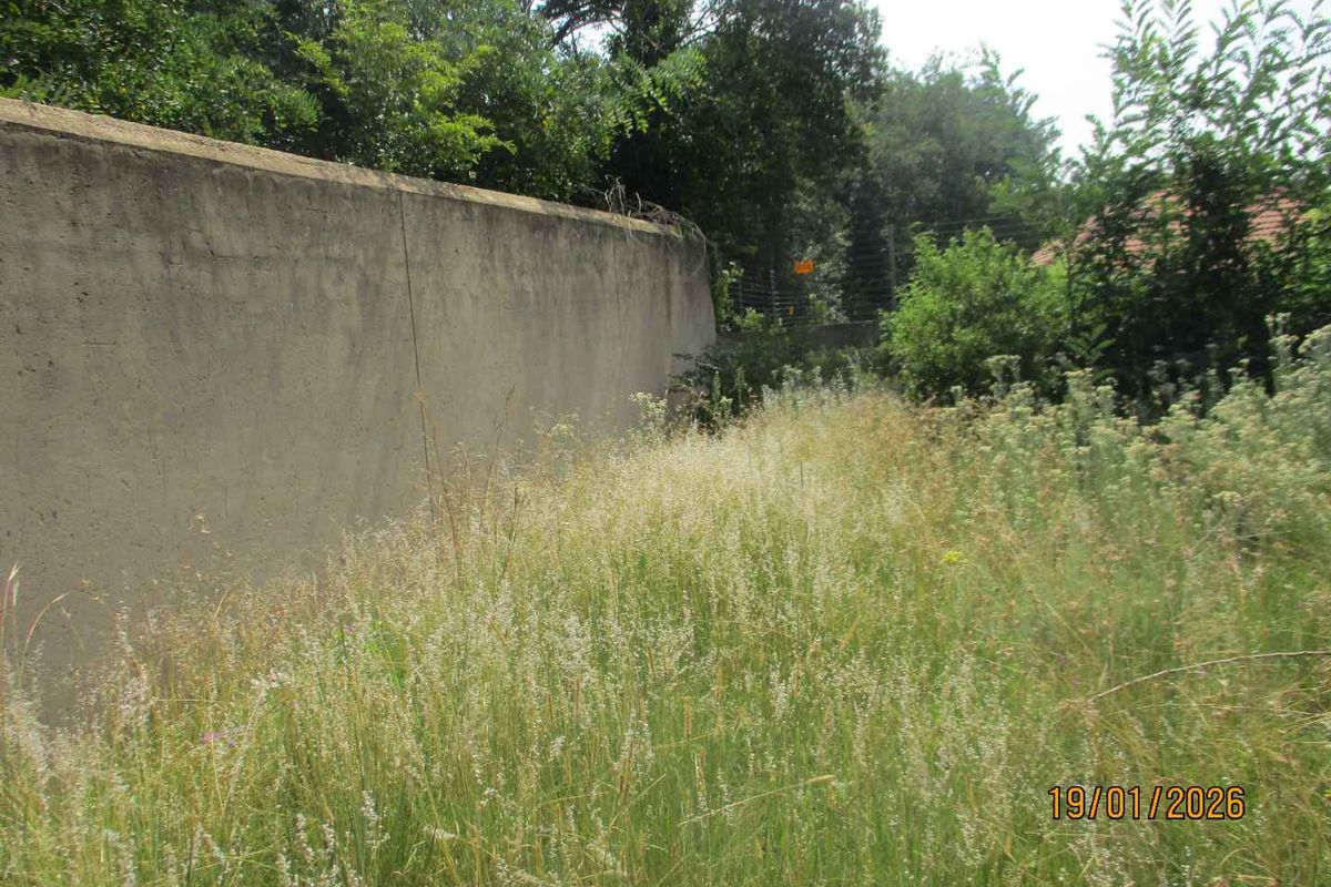 Enjoy the tranquility of Henley - Photo 4