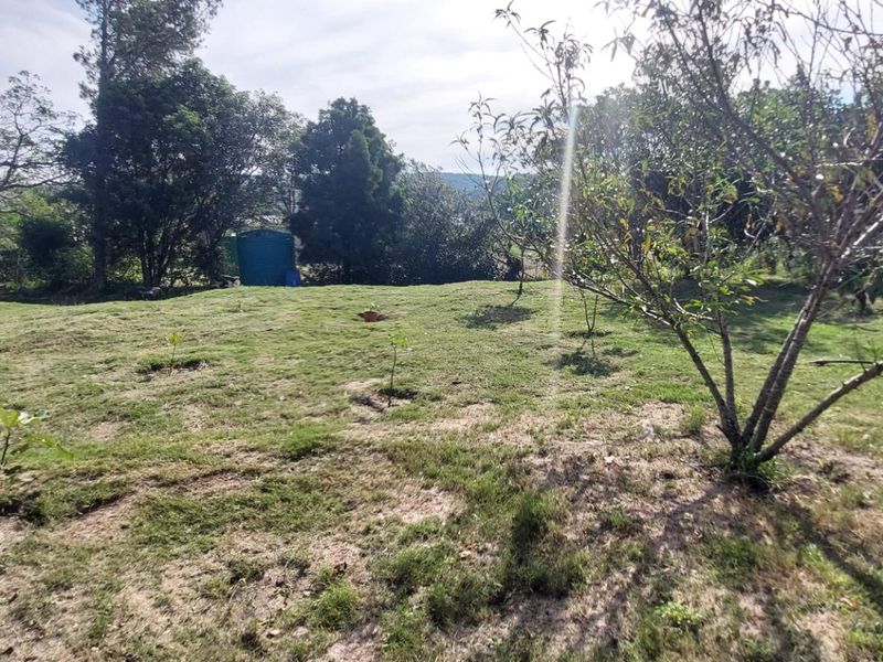 Bathurst Plot with Shed Converted into Cottage - Photo 2