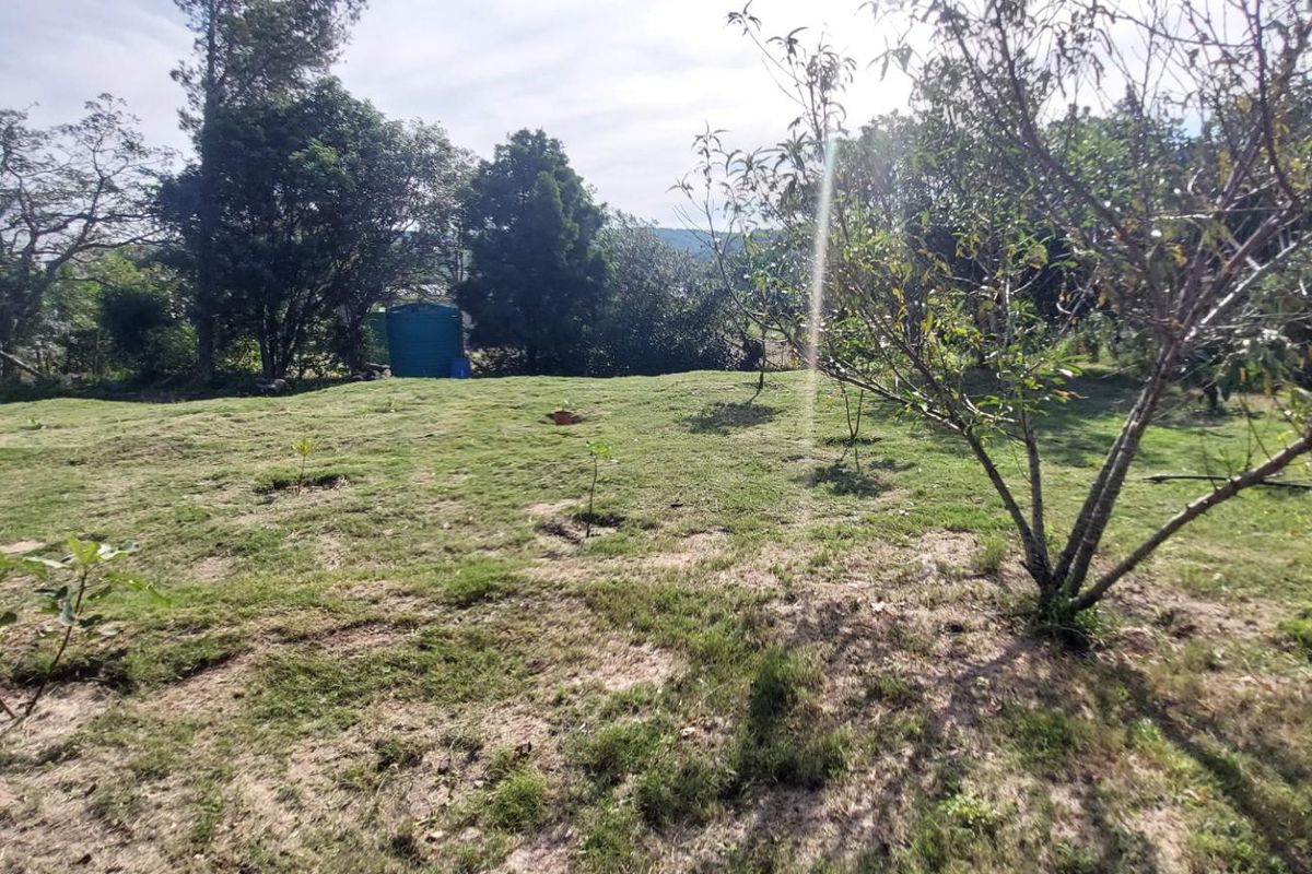 Bathurst Plot with Shed Converted into Cottage - Photo 2