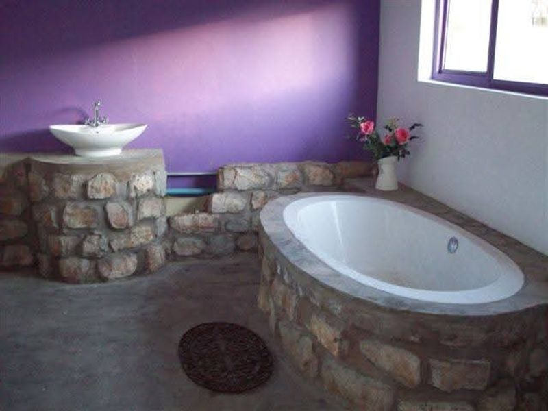 48 HA Small Holding For Sale - Hardap Region - Photo 9