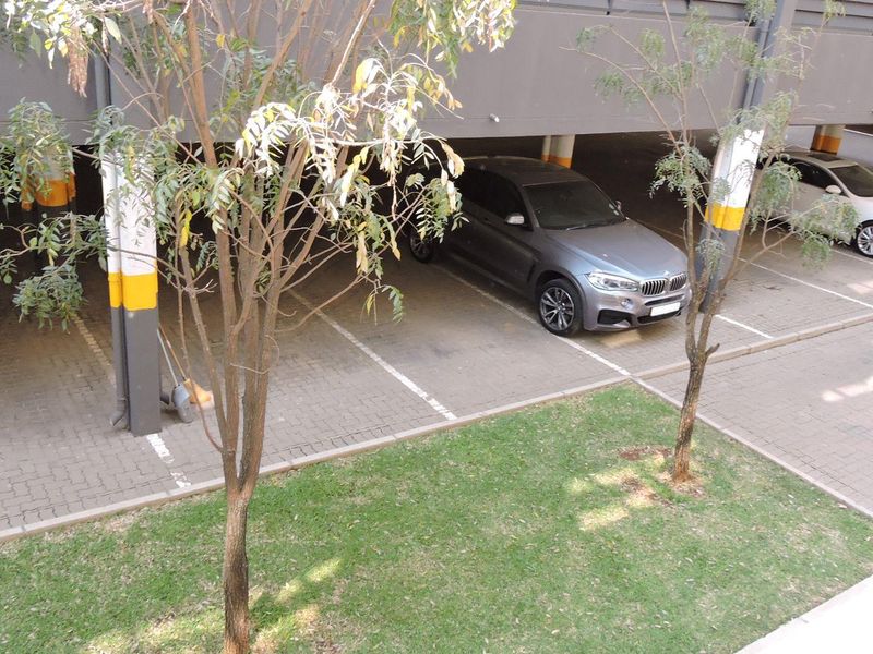 A covered parking area featuring paved bays and painted structural support columns within an apartment complex.