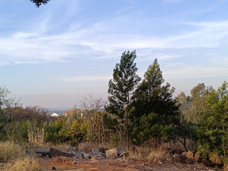 A view of the vacant residential land featuring natural vegetation, mature trees, and distant neighborhood houses.