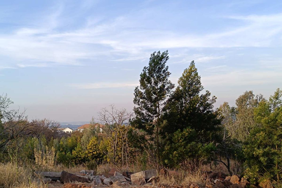 A view of the vacant residential land featuring natural vegetation, mature trees, and distant neighborhood houses.