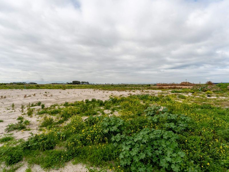 Approximately 1000sqm Vacant Land - Photo 3