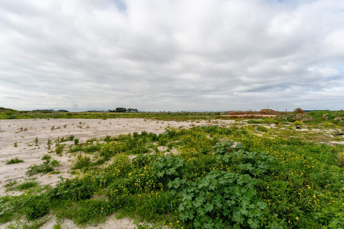 Approximately 1000sqm Vacant Land - Photo 3