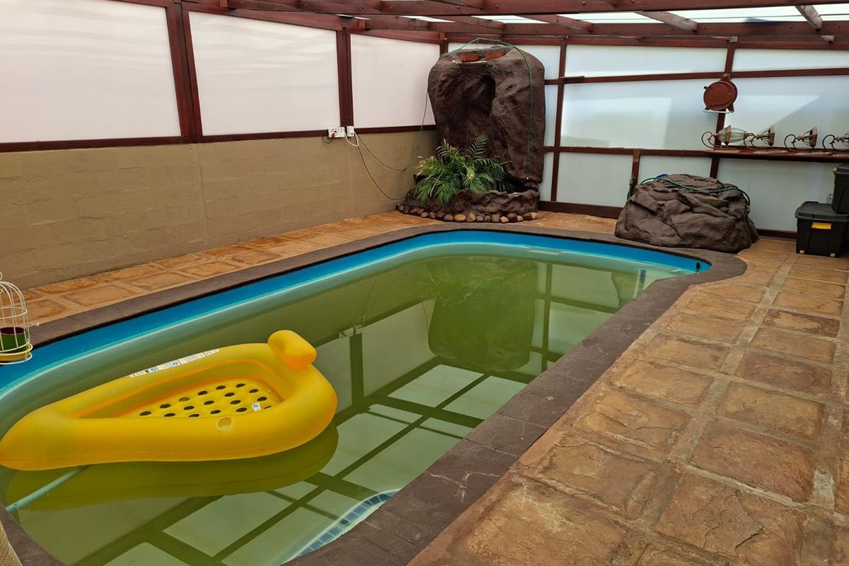 Big Modern 5 Bedroom Family home with a indoor swimming Pool - Photo 4