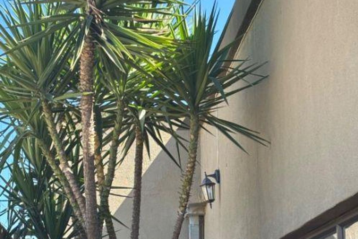 Modern house for sale - Wanahenda 1.450 000 - Photo 3