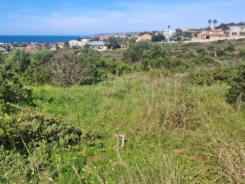 A scenic view overlooking a coastal residential area, featuring natural vegetation and a clear horizon line.