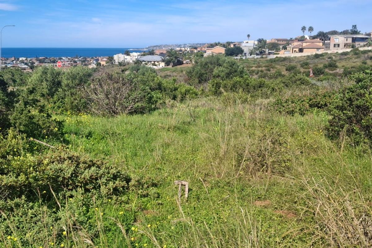 A scenic view overlooking a coastal residential area, featuring natural vegetation and a clear horizon line.