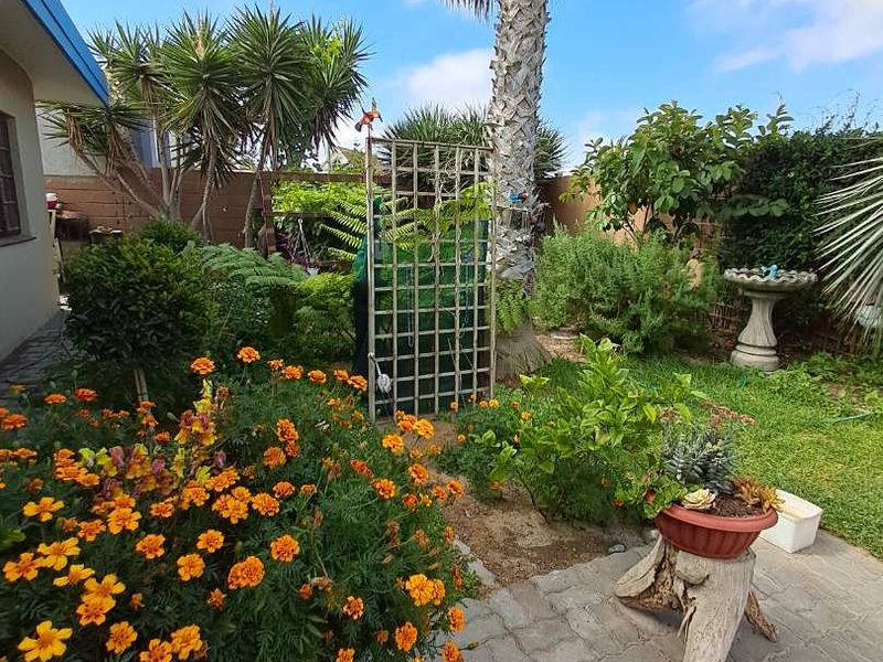 A well-maintained garden area featuring a paved walkway, established trees, and a decorative trellis, providing a pleasant outdoor space.