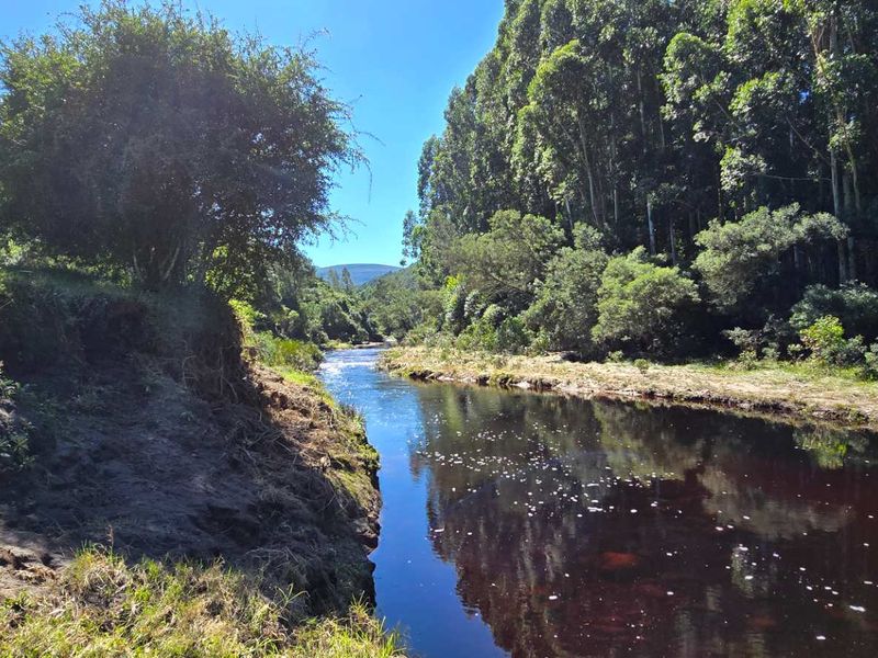 Spectacular Ruiterbos Farm with River Frontage & Panoramic Views - Photo 7