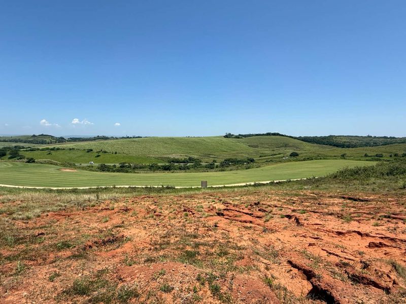 Dream Home Vision Tone - Photo 10