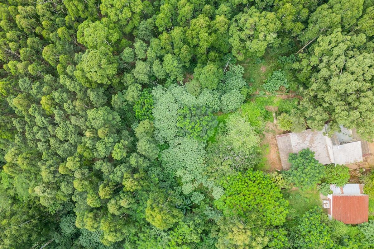 An aerial view of a residential land plot featuring dense surrounding forest, mature trees, and existing building structures on the property.