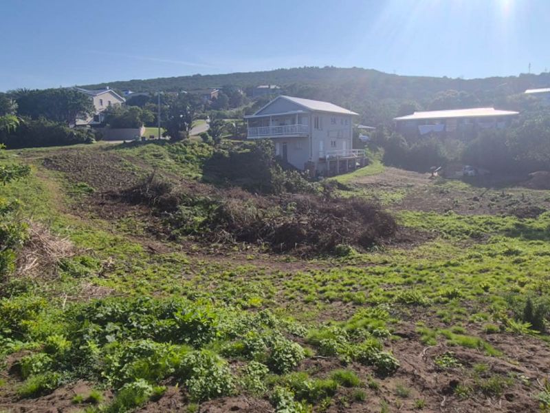 A view of a sloped, partially cleared residential vacant land plot with surrounding neighborhood houses visible in the background.