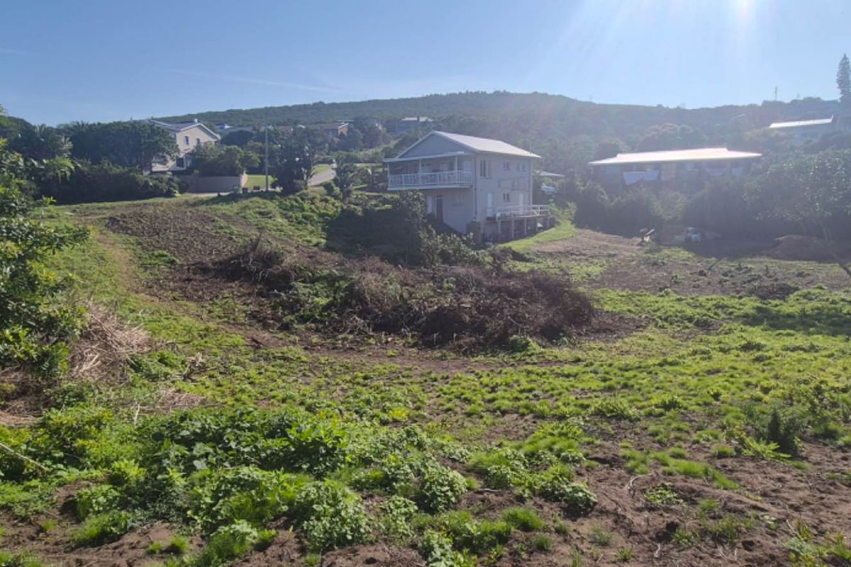 A view of a sloped, partially cleared residential vacant land plot with surrounding neighborhood houses visible in the background.
