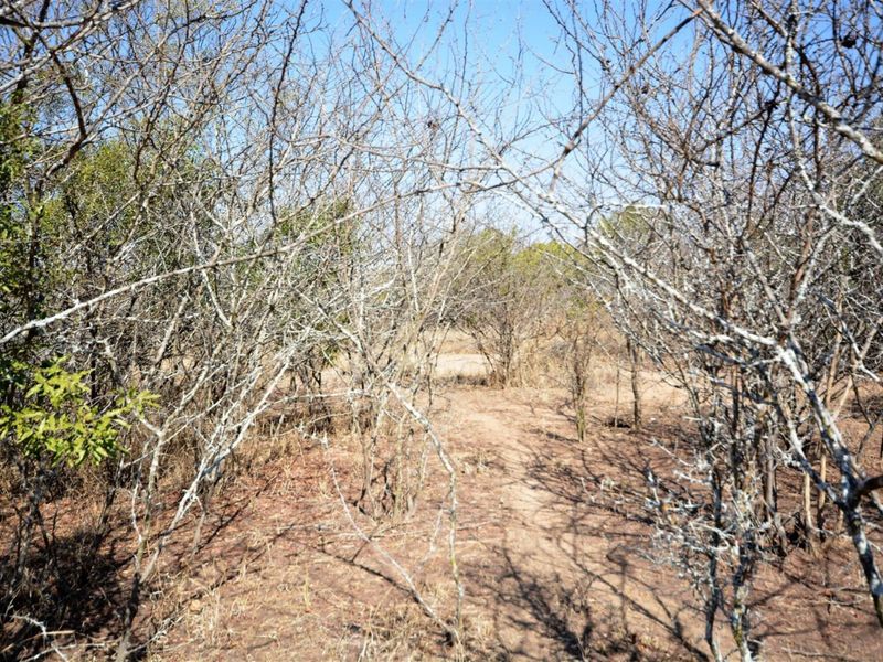 Vacant Land in MODITLO NATURE RESERVE - Photo 4