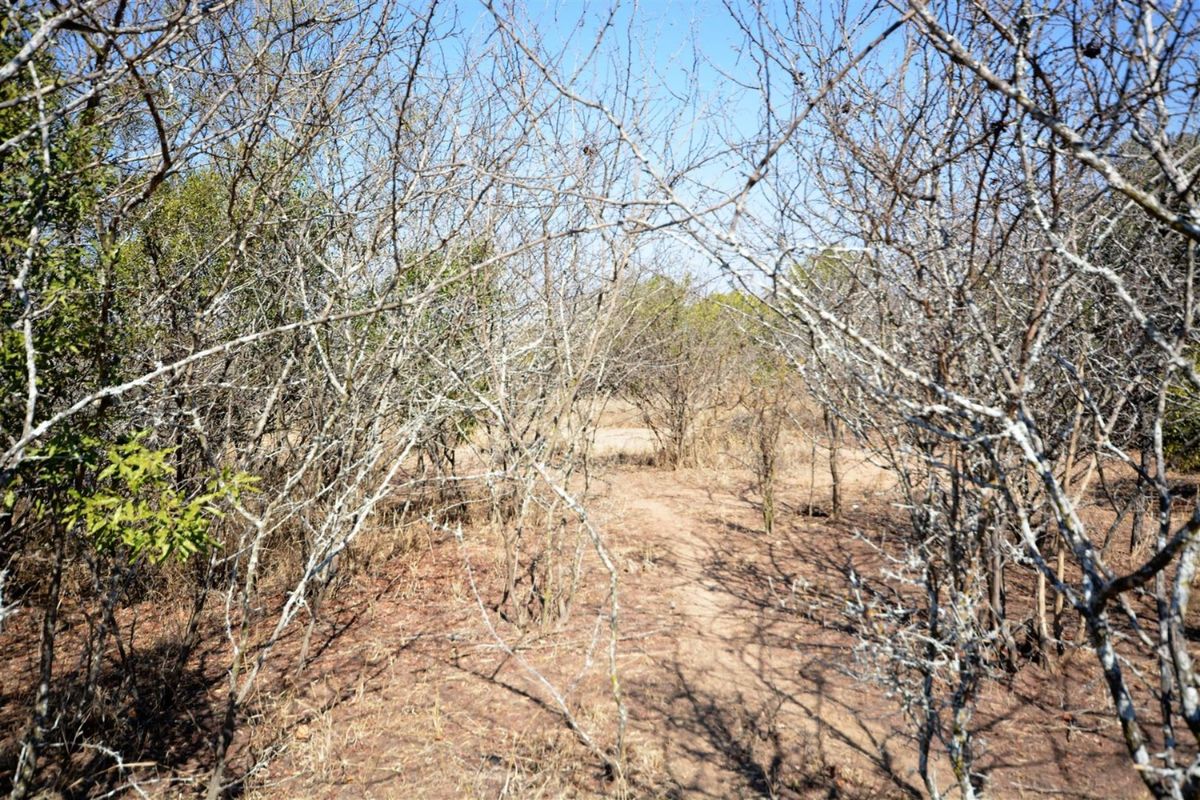 Vacant Land in MODITLO NATURE RESERVE - Photo 4