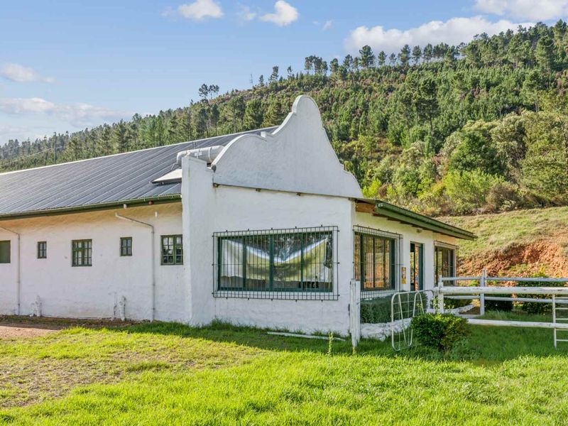 Farm with Opportunities in Drakenstein Rural - Photo 5