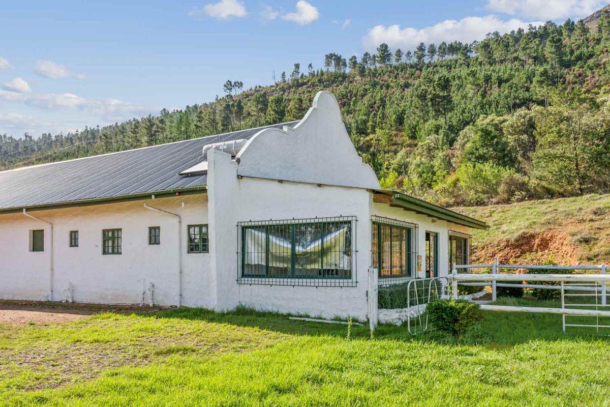 Farm with Opportunities in Drakenstein Rural - Photo 5