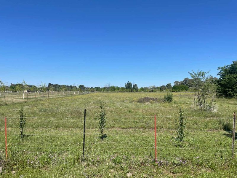 SMALLHOLDING WITH EXCEPTIONAL POTENTIAL – A RARE OPPORTUNITY - Photo 2