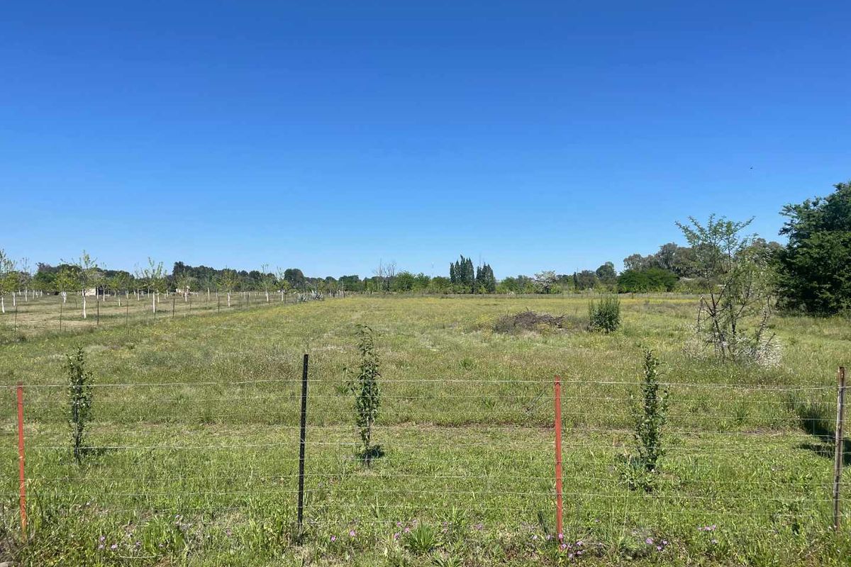 Expansive open land area featuring wire fencing and young trees, suitable for agricultural or small holding development.