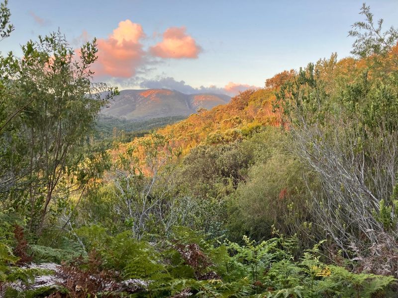 ***Local or International : Build your eco-friendly home in Hoekwil with Scenic views of the River and Mountains*** 3.6 Hectares - Photo 3