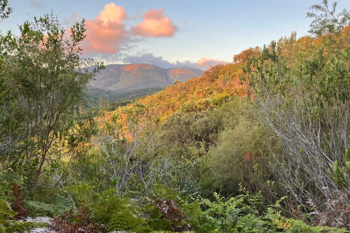 ***Local or International : Build your eco-friendly home in Hoekwil with Scenic views of the River and Mountains*** 3.6 Hectares - Photo 3