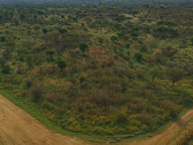 Prime 1,000ha Farm — Otjiwarongo (inside town area) - Photo 4