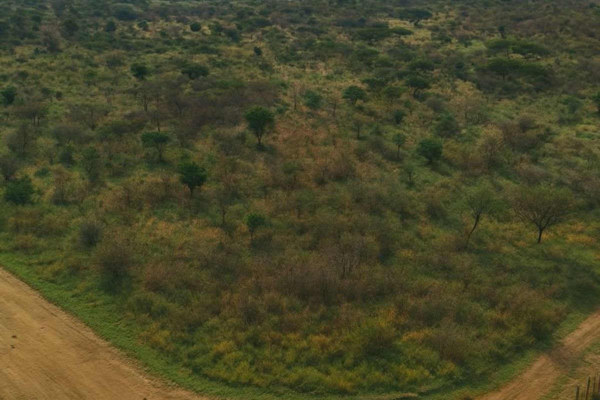 Prime 1,000ha Farm — Otjiwarongo (inside town area) - Photo 4