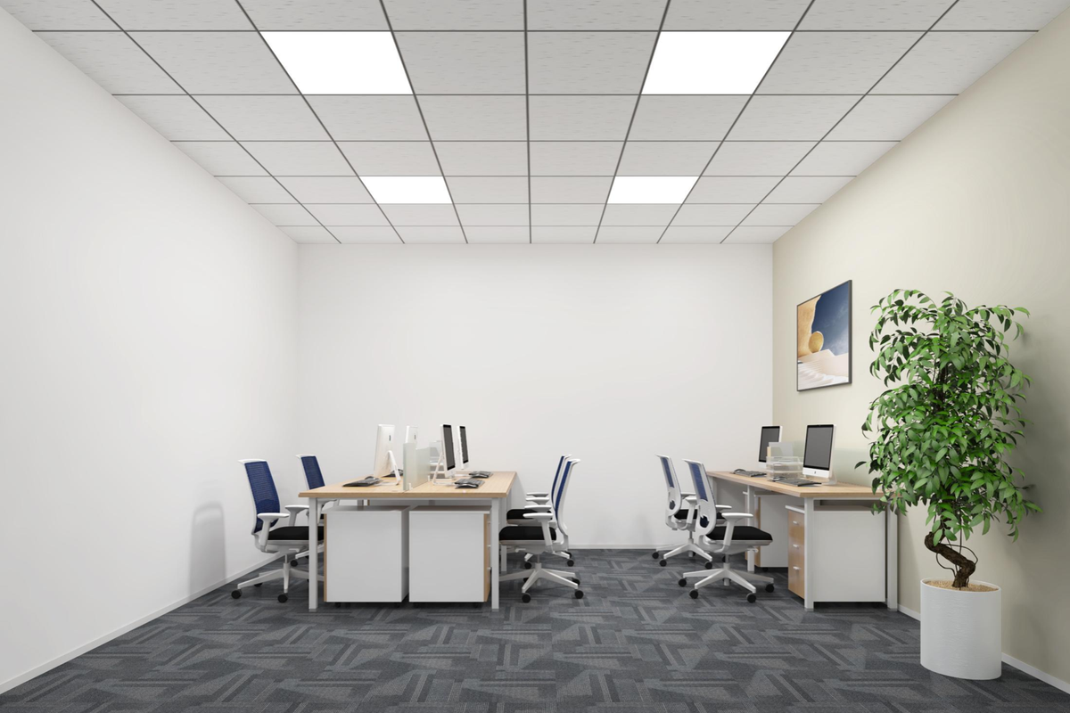 A modern, well-lit office space featuring a suspended ceiling with recessed LED panels and durable carpet tile flooring.