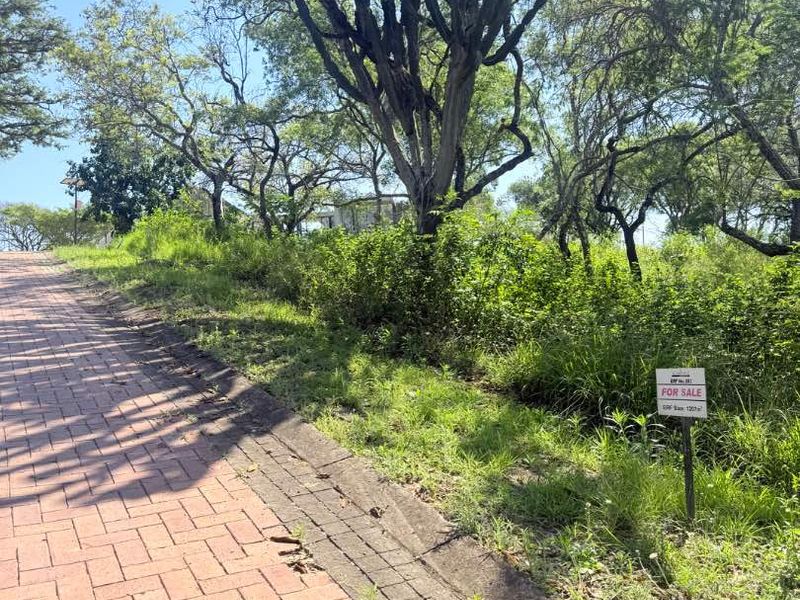 A view of a residential vacant land plot featuring a paved driveway and established trees.