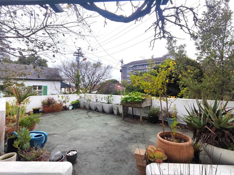 Spacious 2 bedroom home with office space in Rondebosch - Photo 6