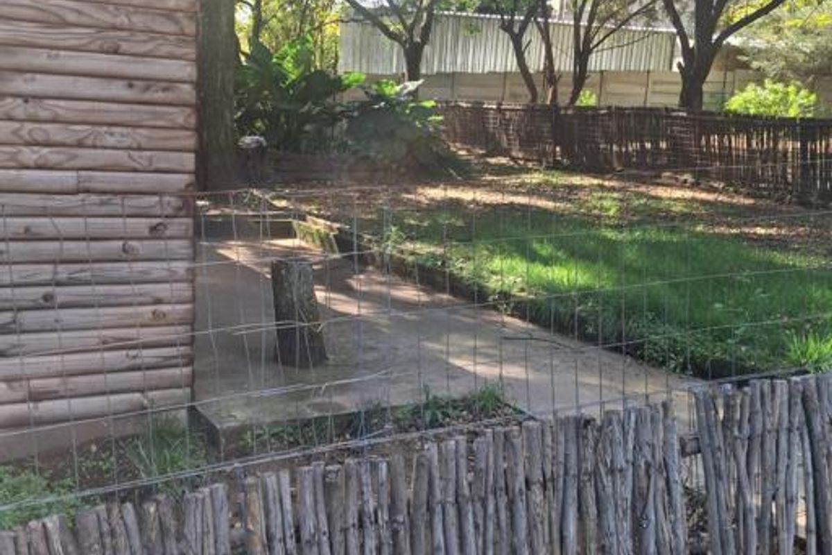 2 Bedroom Garden Cottage in Glen Austin - Photo 3