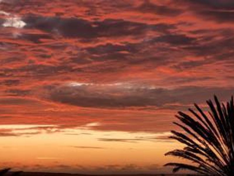 Swakop-Smallholding Your place in the Sun - Photo 4