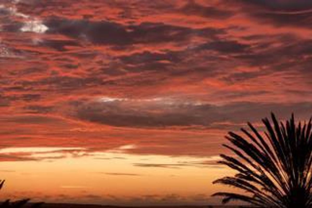 Swakop-Smallholding Your place in the Sun - Photo 4