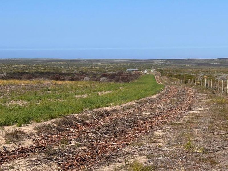 EXCEPTIONAL BEAUTIFUL VERSITILE FARM TO DEVELOP. TOURIST ATTRACTION - Photo 6