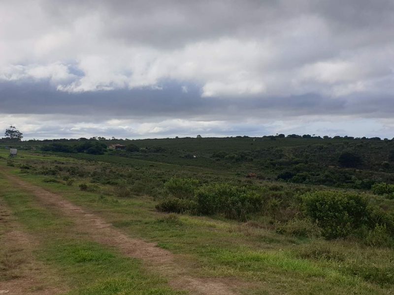 50 hectares with So much potential - Photo 8