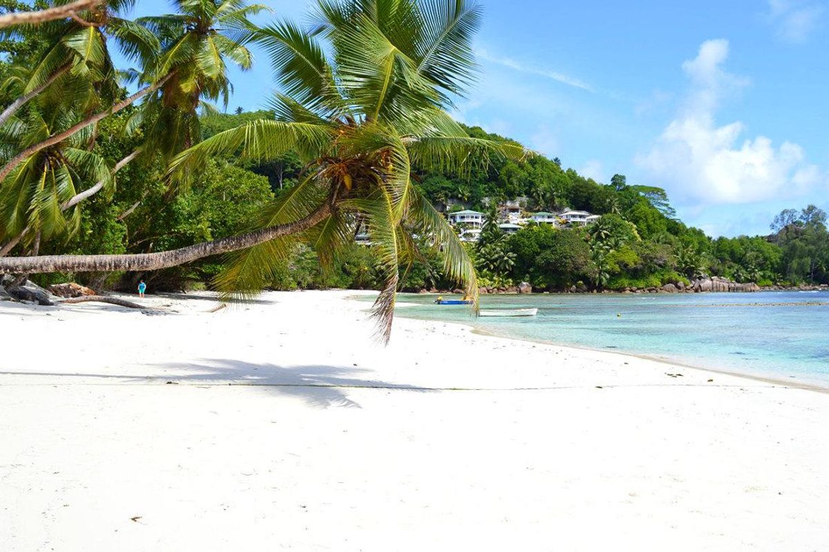 Exceptional Beachfront Development Land Mahe - Photo 5