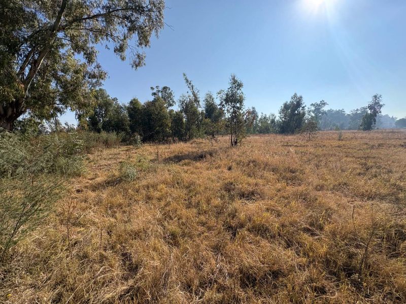 8.7ha Agricultural Land Along the R59 – Rare Investment Opportunity - Photo 3