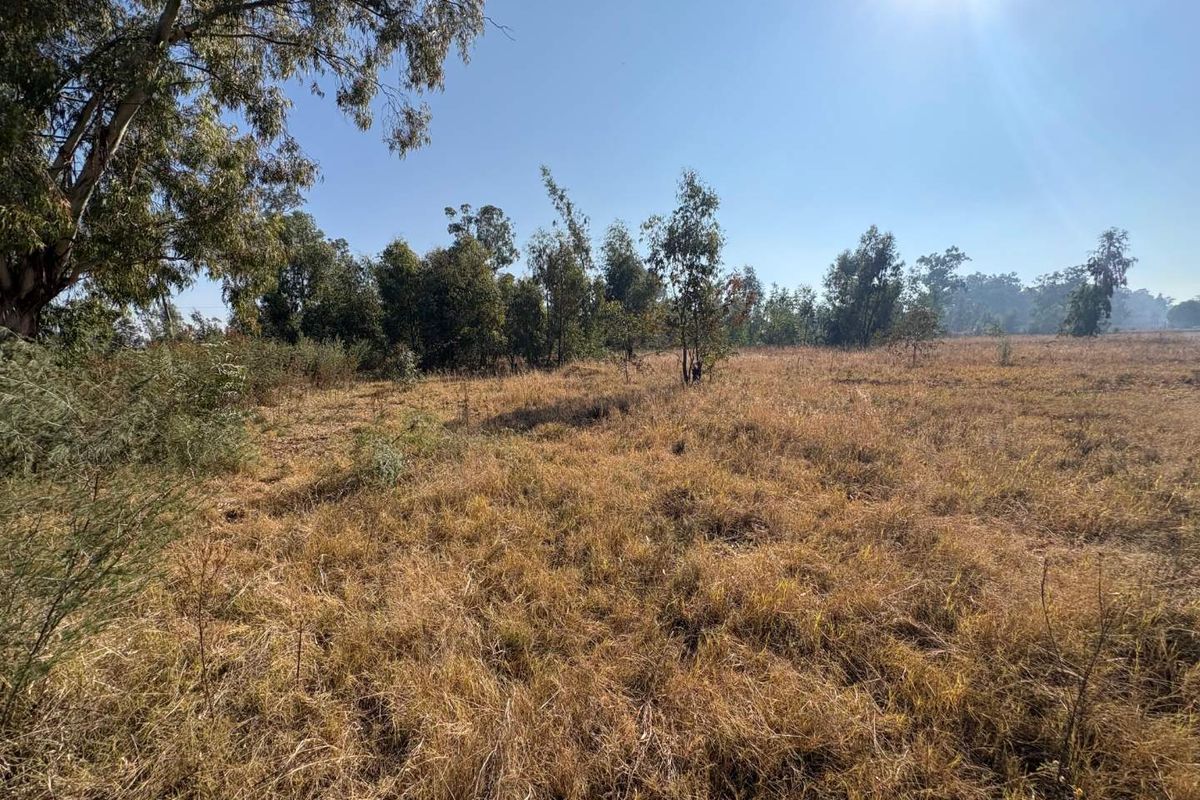 8.7ha Agricultural Land Along the R59 – Rare Investment Opportunity - Photo 3